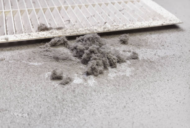 Best Air Duct Cleaning Near Me  in East Vineland, NJ