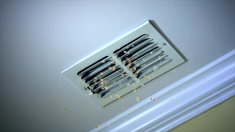Best Home Air Vent Cleaning  in East Vineland, NJ