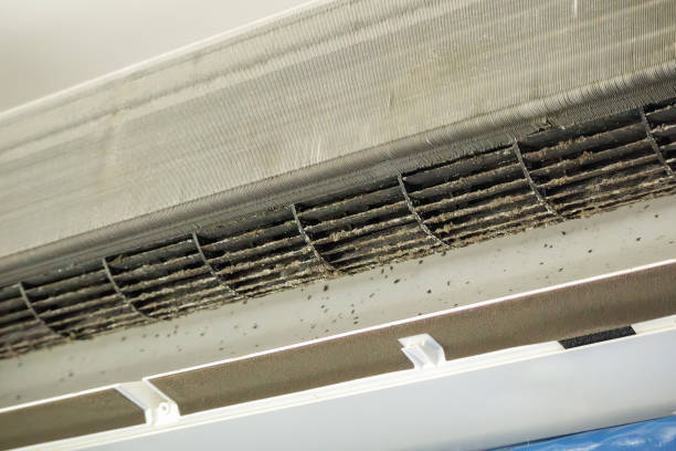 Best Emergency Air Duct Cleaning  in East Vineland, NJ